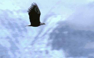 协创数据：公司将持续关注相关市场价格动态优化回收业务的成本控制与运营效率